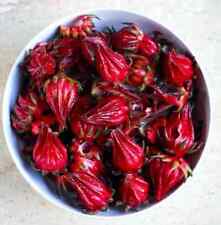 Roselle seeds hibiscus for sale  Lincolnton
