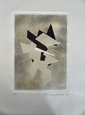 Hans richter usato  Nettuno