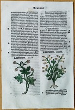 Post incunable foglia usato  Spedire a Italy