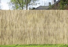 Schilfrohrmatte 1 sichtschutz gebraucht kaufen Schilfrohrmatte 1 sichtschutz gebraucht kaufen  Völklingen