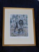 Signed limited edition for sale  BARNSTAPLE