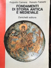 Camera fabietti fondamenti usato  Padova