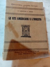 Viti americane innesto usato  Pavia