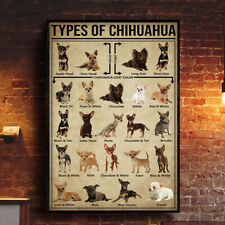 Types chihuahua knowledge for sale  Chicago