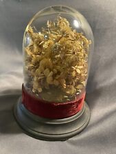 Antique glass specimen for sale  Dover