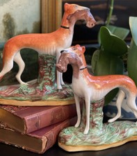 rabbit hunting dogs for sale rabbit hunting dogs for sale Southampton