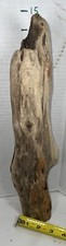 Driftwood terrarium beach for sale  Brookwood