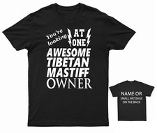 Awesome tibetan mastiff for sale  BRISTOL