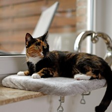Ware lionto liegeplatte gebraucht kaufen  Kleve