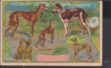 Chromo ancien publicitaire d'occasion  Dijon