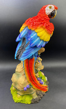 Scarlet macaw resin for sale  CULLOMPTON