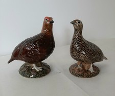 quail bird for sale quail bird for sale  UK
