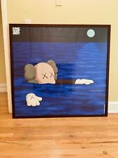 Kaws brooklyn museum for sale  New York