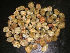 thunder eggs for sale  Dyer