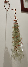 Tillandsia usneoides pianta usato  Brugherio