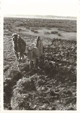 Old photo 1960 d'occasion  Expédié en Belgium