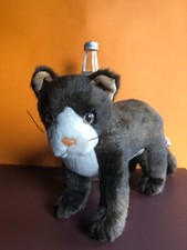 Katze schön gebraucht kaufen  Creglingen