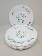 Arcopal france piatti usato Arcopal france piatti usato  Pieve di Cento