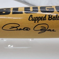 pete rose bat for sale  Amityville