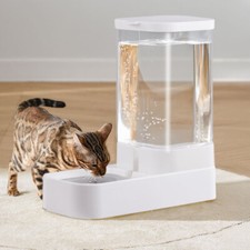 Cat dog bowl for sale  MANCHESTER