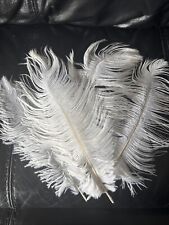 White ostrich feather for sale  BRISTOL