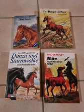 Buch roman pferde gebraucht kaufen  Stutensee