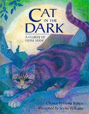 Cat dark cat for sale  UK