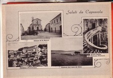 Cartolina caprarola opaca usato  Italia