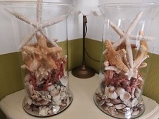 Collection branches corail d'occasion  Salernes