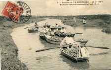 Carte nieul mer d'occasion  Genillé