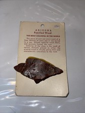 Arizona petrified wood for sale  The Colony