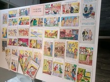 Vintage saucy seaside for sale  HULL