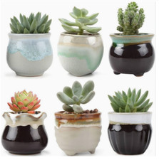 Petits pots fleurs d'occasion Petits pots fleurs d'occasion  Cagnes-sur-Mer