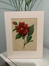 large paper flowers for sale large paper flowers for sale NORWICH