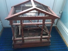 show cages bird for sale show cages bird for sale BRISTOL