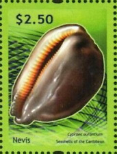 Nevis sg2270b mnh for sale  Conroe