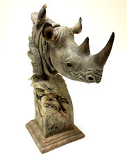 Joe slockbower rhino for sale  Hinckley