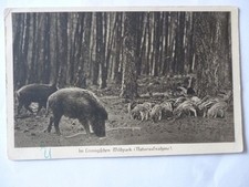 Ansichtskarte leiningischen wi gebraucht kaufen  Eggenstein-Leopoldshafen