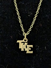Vintage tau kappa for sale  Ocoee