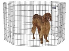 Laufstall spielgehege hunde gebraucht kaufen  Arnsberg