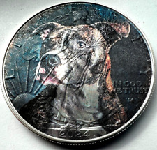 Pit bull dog for sale  Issaquah