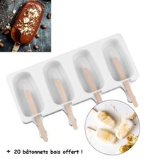 Moule glace sorbet d'occasion  Retournac