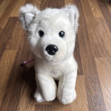 Lapland husky dog for sale  MANCHESTER