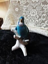 Karl ens bird for sale  SCUNTHORPE