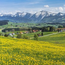 Entspannender allgäu urlaub gebraucht kaufen  Hamburg