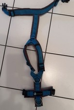 Anny brustgeschirr fun gebraucht kaufen Anny brustgeschirr fun gebraucht kaufen  München