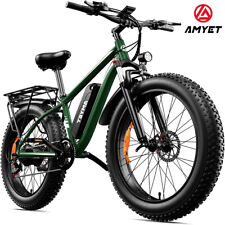 Electric bike 1000w for sale  USA