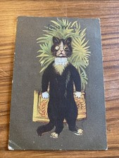 Advertising mazawattee cocoa for sale  STOWMARKET
