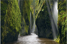 Peter lik photograph for sale  Austin