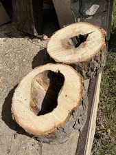 Baumscheiben hohl klotz gebraucht kaufen  Neustrelitz